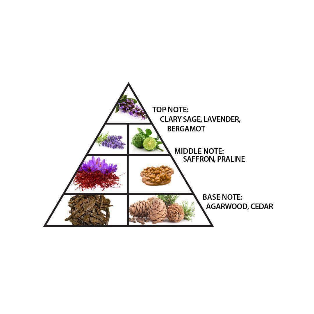 Fragrance Notes
